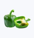 Capsicum